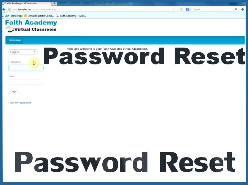 Password Reset